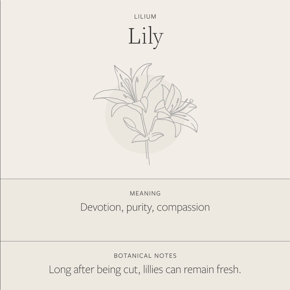 Lily May Birth Flower Engraved Dainty GiftNecklace - Picture 7 of 16